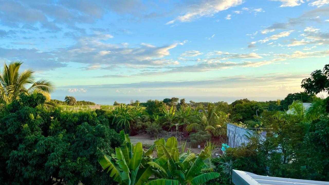 Les Villas De La Ligne Des Bambous Ravine des Cabris Exteriér fotografie